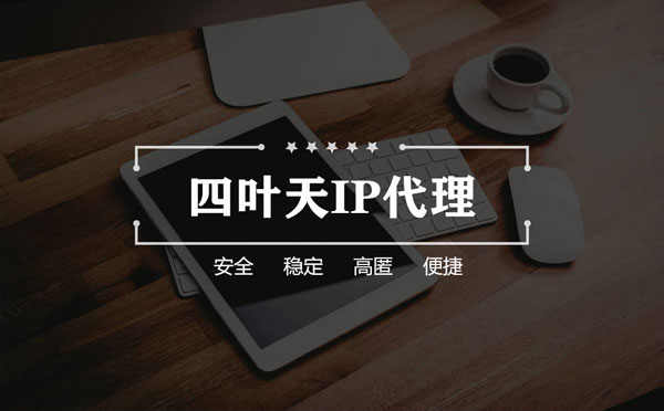 【蚌埠代理IP】如何快速搭建代理IP？怎么检查代理的效果？